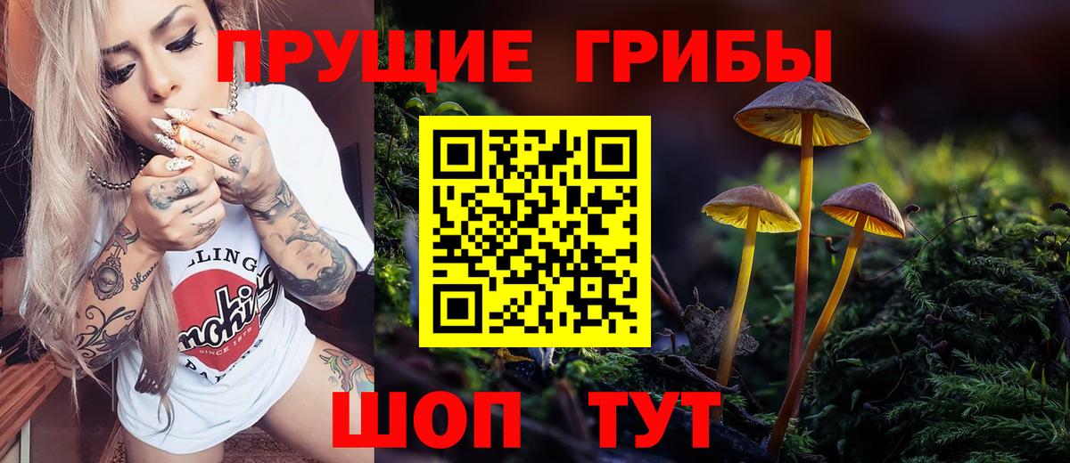 Галлюциногенные грибы мицелий Новочебоксарск