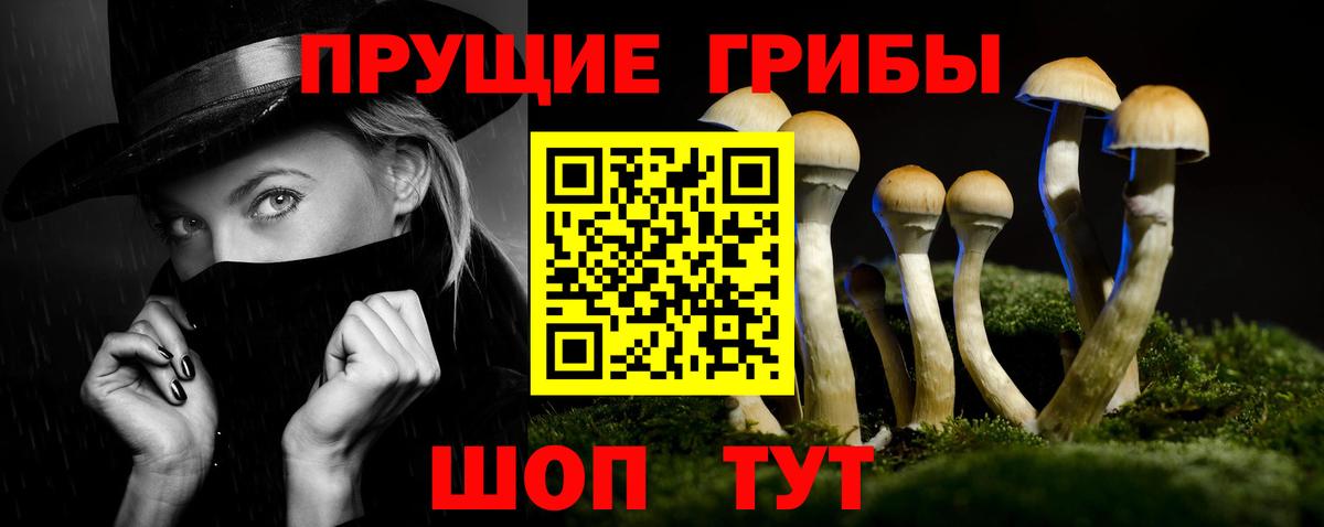 продажа наркотиков  Псилоцибиновые грибы мухоморы  Вход с VPN  Новочебоксарск 